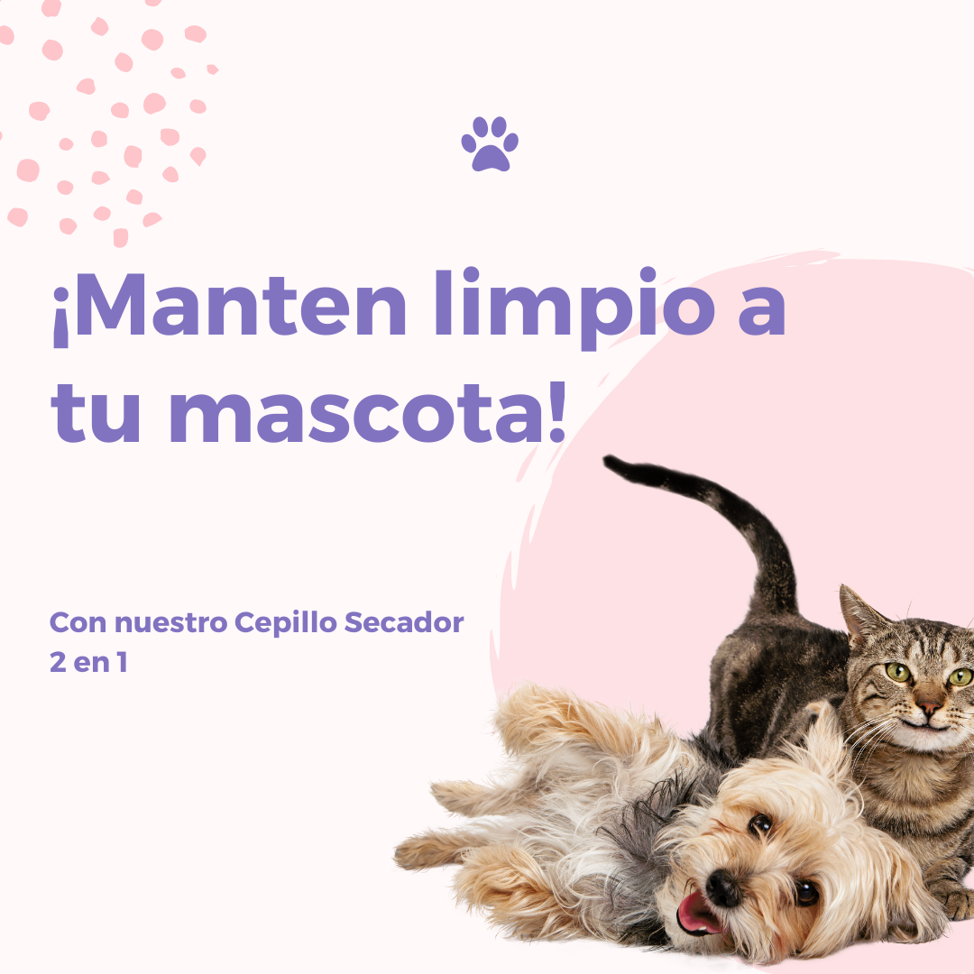 Cepillo Secador Para Mascotas