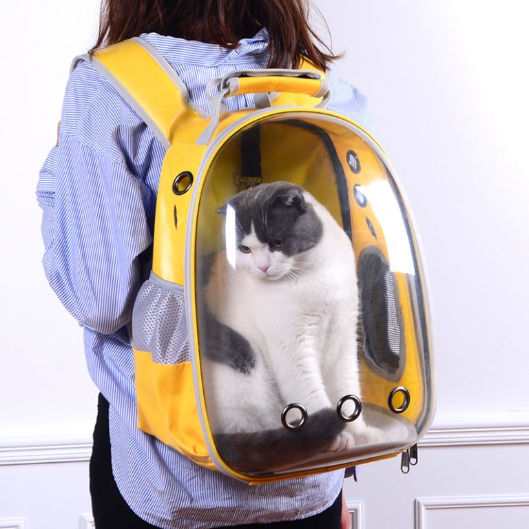 Morral de Lujo para Mascotas: Comodidad y Estilo en Cada Aventura