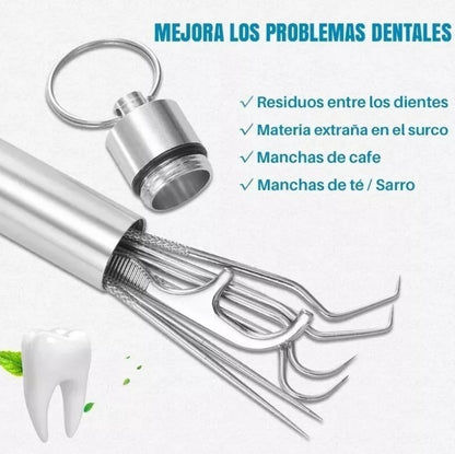 Kit Limpieza Dental Acero premium